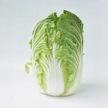 Cabbage Bilko F1 Organic