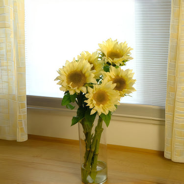 Cream Sunflower Seeds