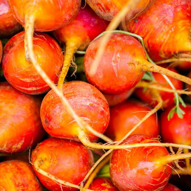 Gold Beetroot Seeds