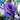 Lisianthus Seeds-Mermaid Purple