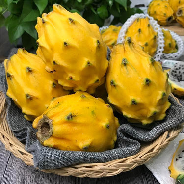 Yellow-Fleshed Dragon Fruit