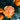 Nanfeng Honey Orange