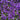 Crystal Palace Lobelia Seeds