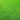 General Lawn Grass Seeds - lawn grass reference image 1