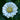 Zinnia Seeds-White Park