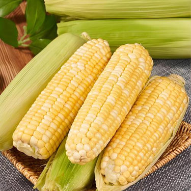 Fruit Corn Seeds