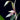 Cymbidium Lancifolium