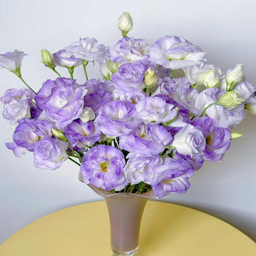 Lisianthus Seeds – Lavender Cream