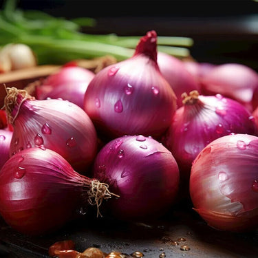 Red Onion Seeds