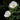 Hibiscus Seeds-Single-petal White Hibiscus