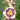 Daylily Hybrid Flowers Seed