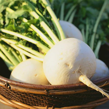 White Beetroot Seeds