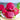 Red-Fleshed Dragon Fruit