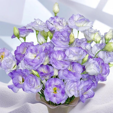 Lisianthus Seeds - Smoky Purple Lisianthus