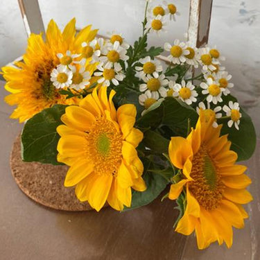 Sunflower Seeds-Mini Vincent