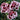 Carnation Seeds-Odessa
