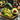 Avocado Pit for Planting – Grow Your Own Avocado Tree