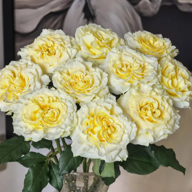 Rosa 'Butter Cup' Seeds