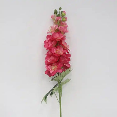 Delphinium- Red Lark