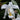 Orchid-Coelogyne Cristata
