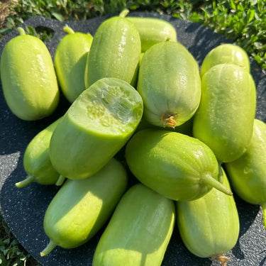 finger cucumber Seeds
