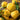 Yellow Peach