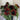 Midnight Rouge Sunflower