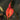 Orchid-Masdevallia