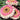 Sunflower Seeds-Pink White Gerbera Flower