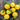 Jade Yellow Tomato