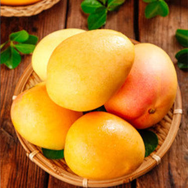 Australian Mango