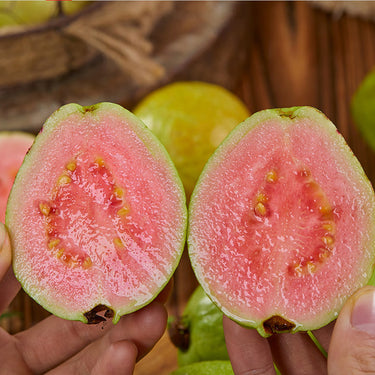 Guava Fruit Tree Seeds for Planting - Exotic and Delicious Tropical Fruit