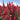 Delphinium- Red Lark