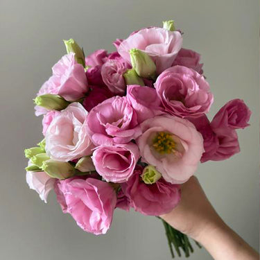 Lisianthus Seeds – Sweet Serenade