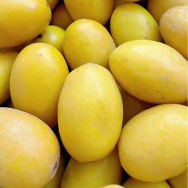 Sandalwood Olive