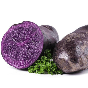 Potato Seeds Black King Kong