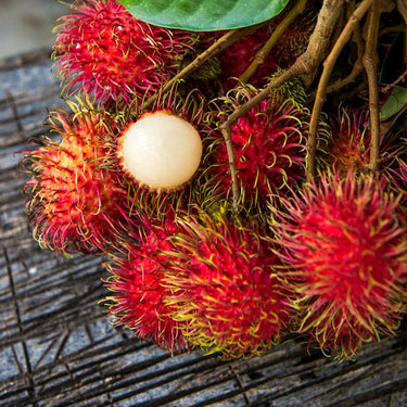 Rambutan