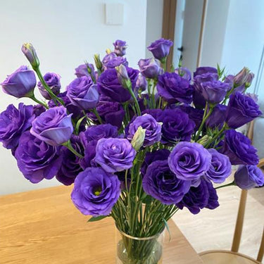 Lisianthus Seeds-Neon Purple