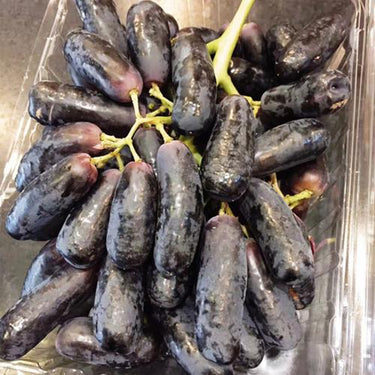 Rare Black Finger Grape Seed – Heirloom Organic Fruit Seeds