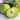 Cuihong Plum