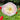 Papaver Rhoeas Seeds-Sherry · Angel Choir