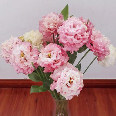 Lisianthus Seeds-Voyage 2 Pink