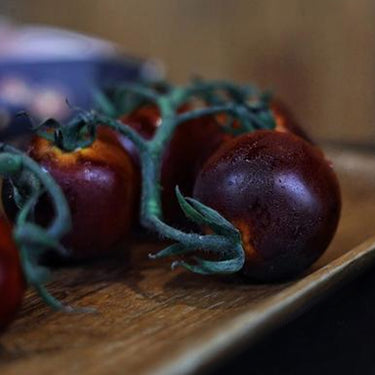 Coffee Tomato Seeds