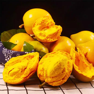 Eggfruit