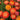 Strawflower Tianshan Kumquat