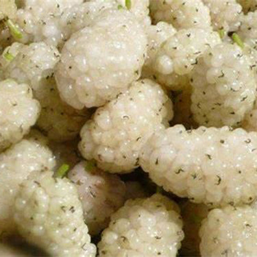 Mulberry – White Jade King