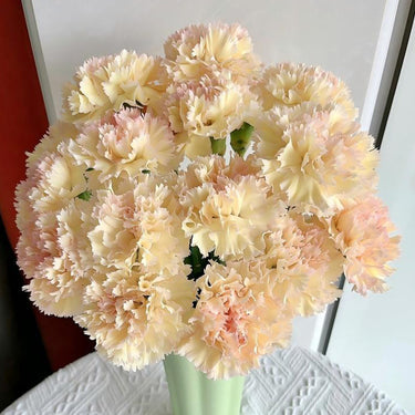 Carnation Seeds-Hoh Xil