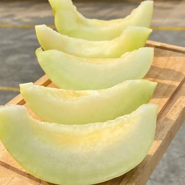 Melon, Bodacious Hybrid