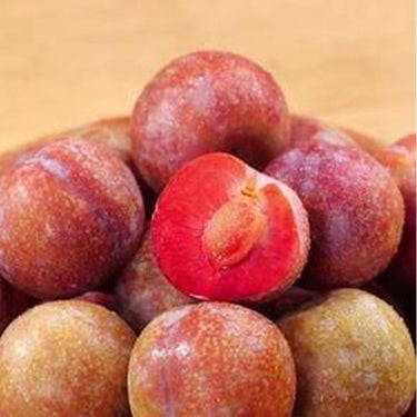 Sanhua Plum