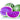 Watermelon Fruit Vegetable Seeds for Planting Violet